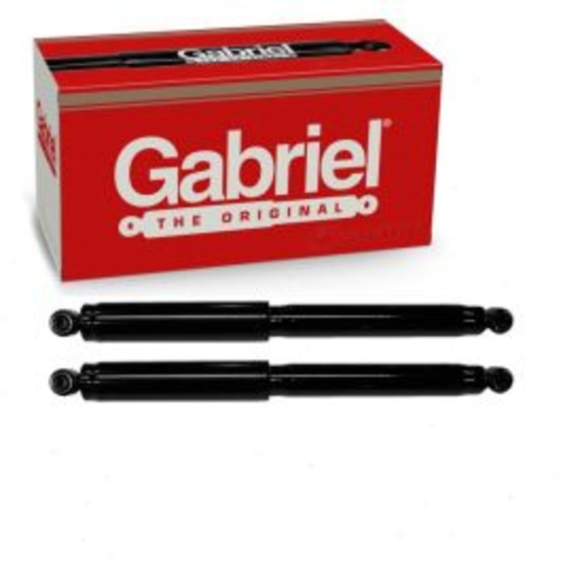 2 pc Gabriel ProGuard 61614 Shock Absorbers