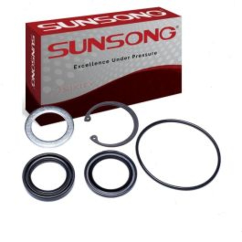 Sunsong Steering Gear Pitman Shaft Seal Kit for 1998-1999 Dodge Durango