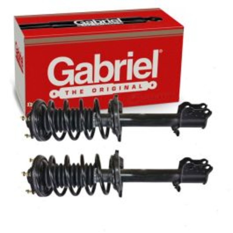 2 pc Gabriel ReadyMount G57045 Suspension Strut & Coil Springs