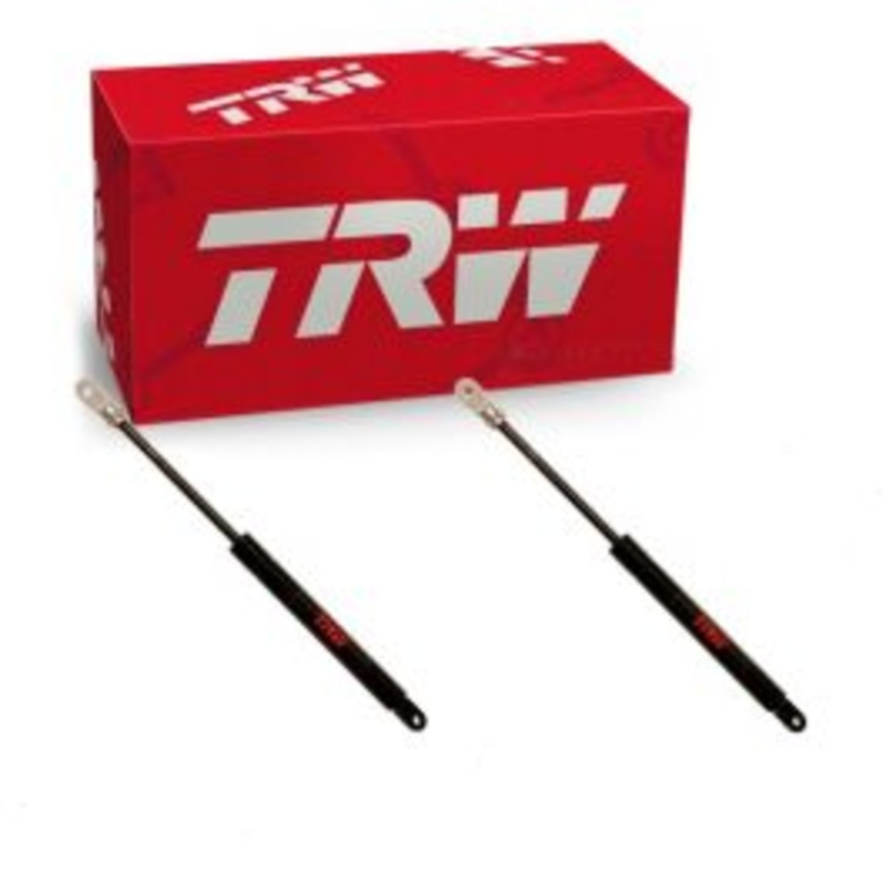 2 pc TRW TSG406010 Hood Lift Supports