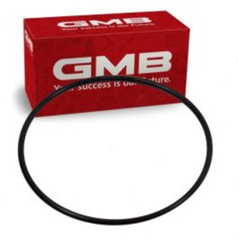 GMB 500-2031 Fuel Pump Tank Seal