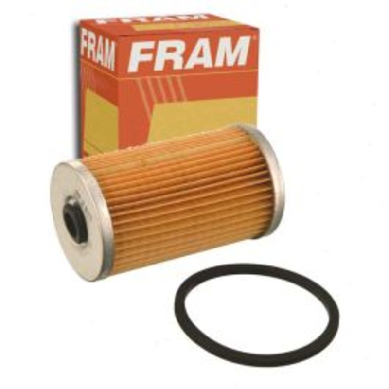 FRAM Fuel Filter for 1975-1977 Dodge CB300