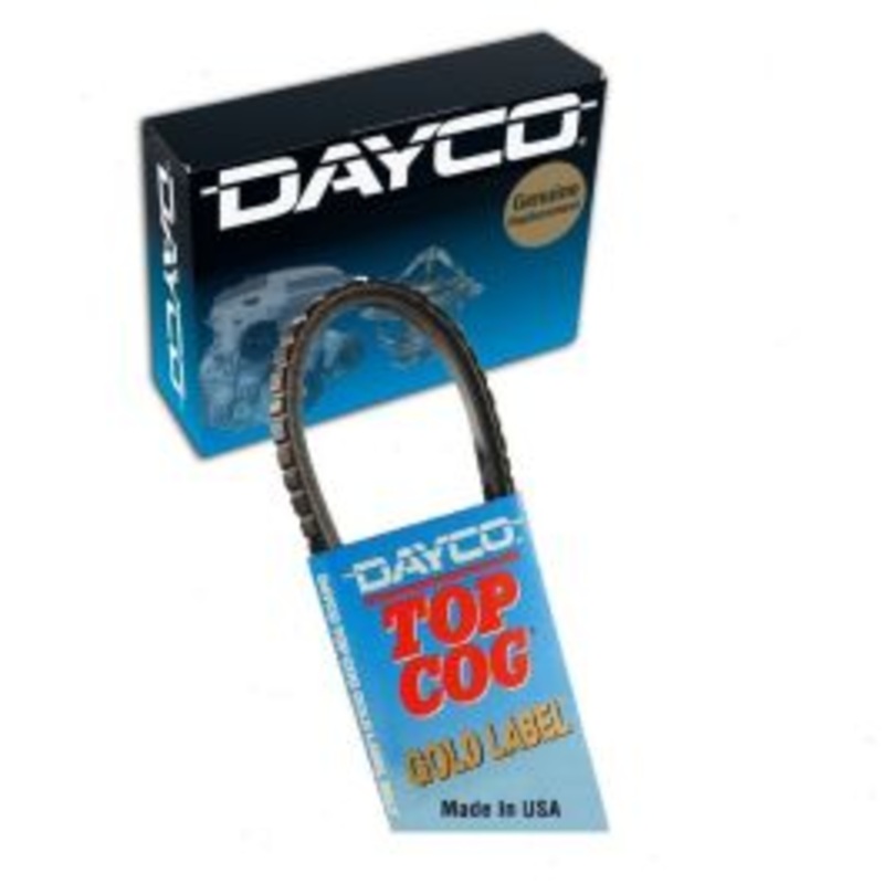 Dayco Fan Idler Accessory Drive Belt for 1981 American Motors Eagle 4.2L L6