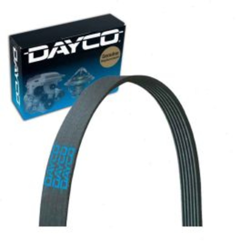 Dayco 5060920 Serpentine Belt