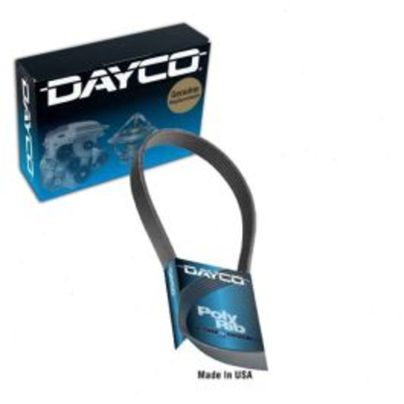 Dayco 5071133 Serpentine Belt