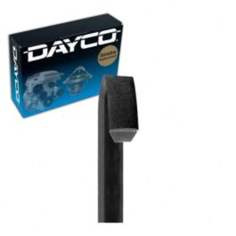 Dayco AP81 Accessory Drive Belt