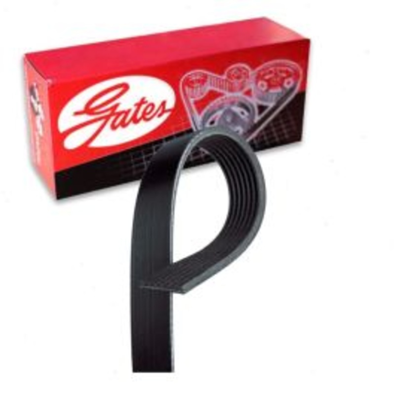 Gates Micro-V Serpentine Belt for 1995-1996 Dodge B1500 3.9L 5.2L V6 V8