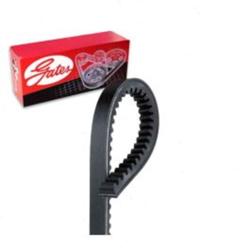 Gates Green Stripe TR28445 Accessory Drive Belt