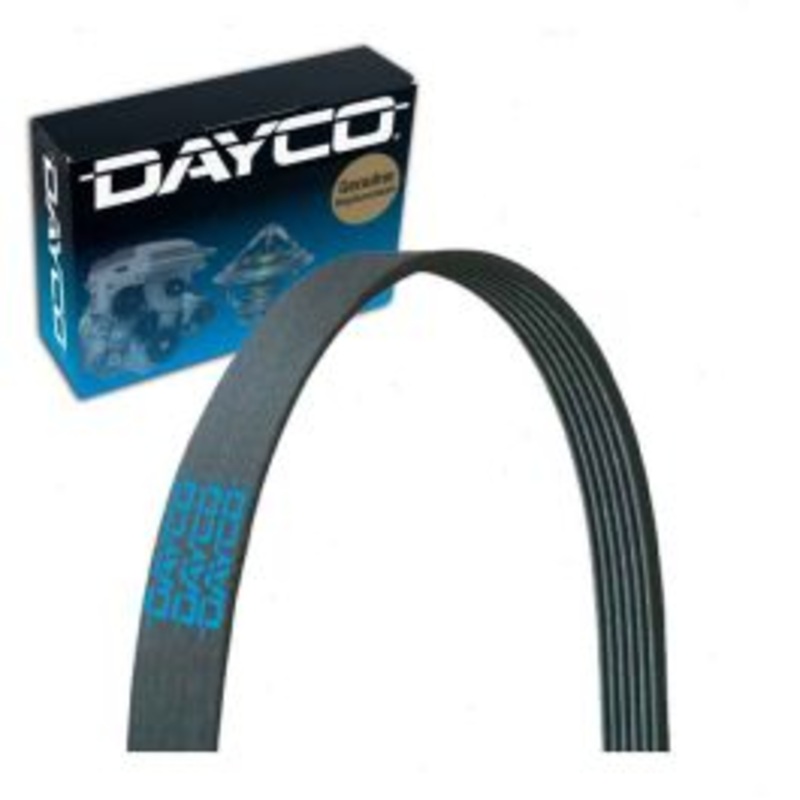 Dayco 5061185 Serpentine Belt