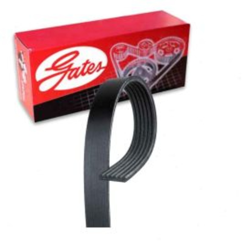 Gates Micro-V Serpentine Belt for 2017-2019 Subaru WRX 2.0L H4