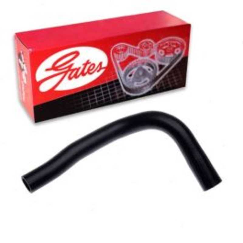 Gates Lower Radiator Coolant Hose for 1981-1982 Nissan Maxima 2.8L L6