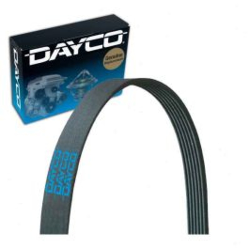 Dayco 5100565 Serpentine Belt