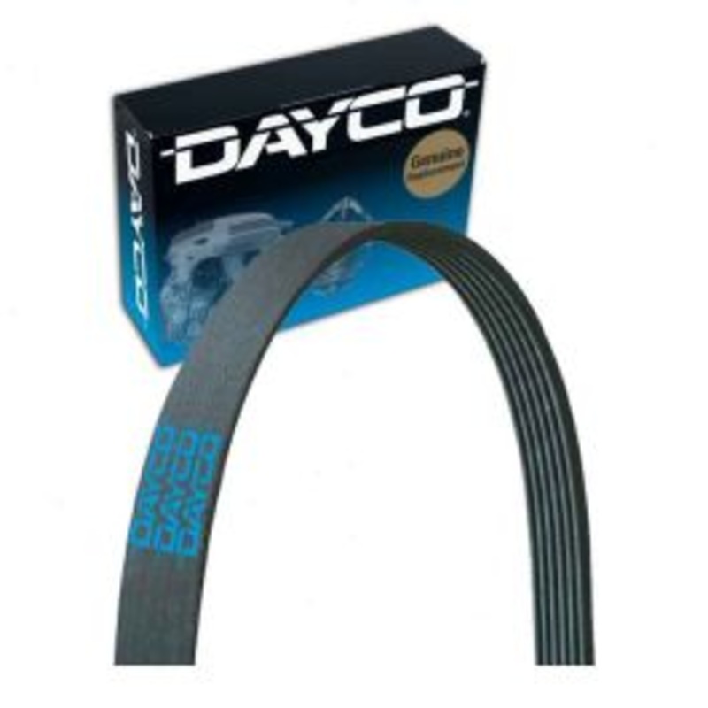Dayco Main Drive Serpentine Belt for 2017-2019 Audi Q7 3.0L V6