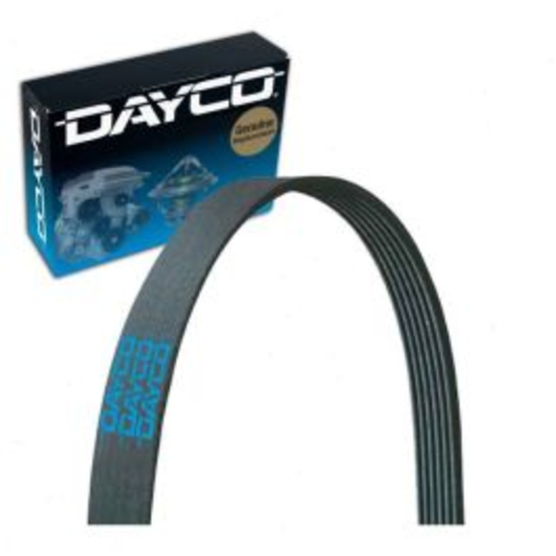 Dayco 5100600 Serpentine Belt