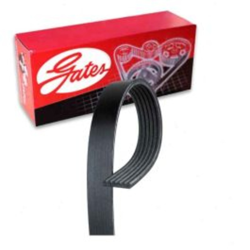 Gates Micro-V Water Pump Serpentine Belt for 2005-2011 Cadillac STS 3.6L V6
